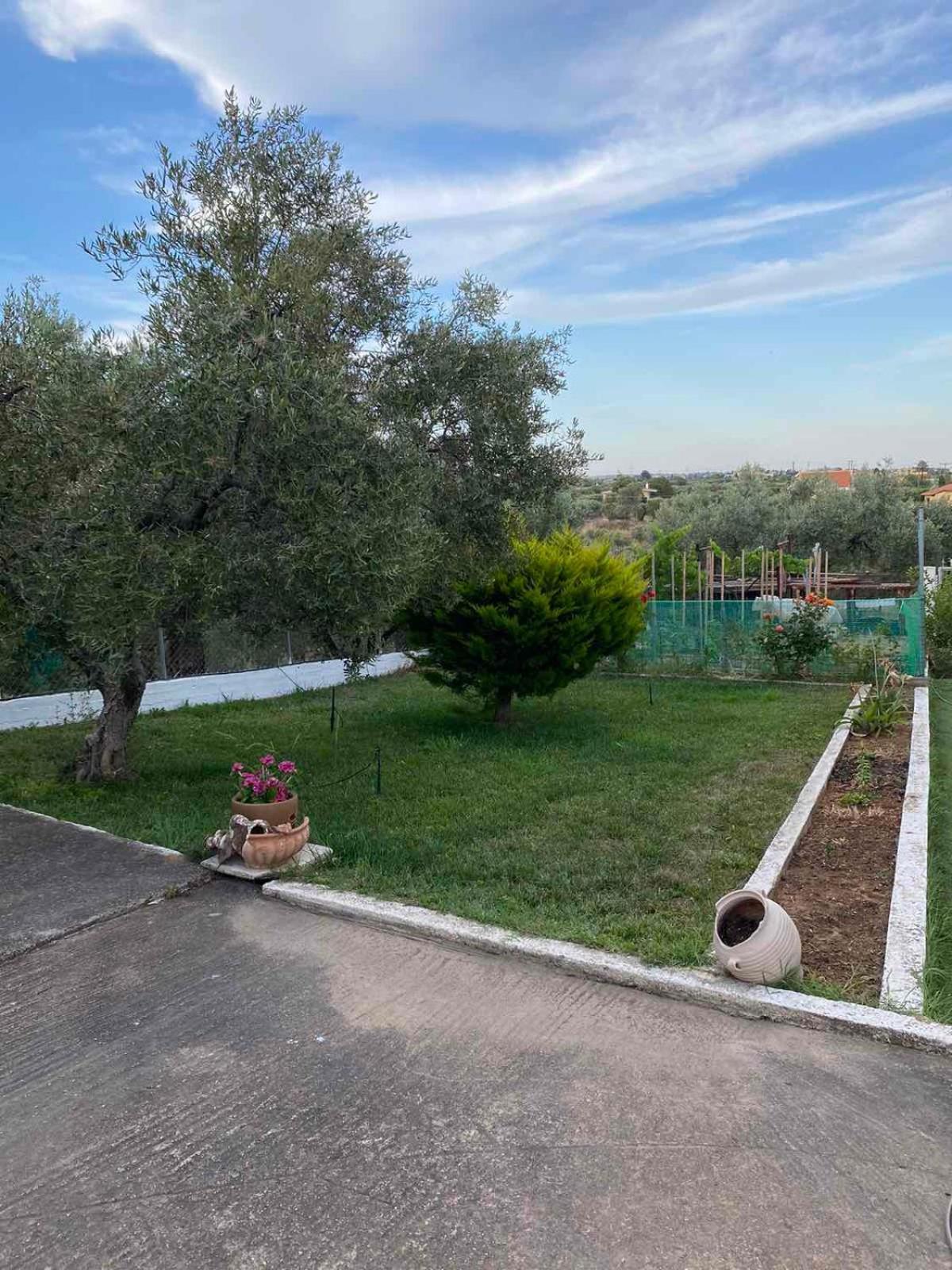 Ferienwohnung Golden House Alexandroupoli Exterior foto