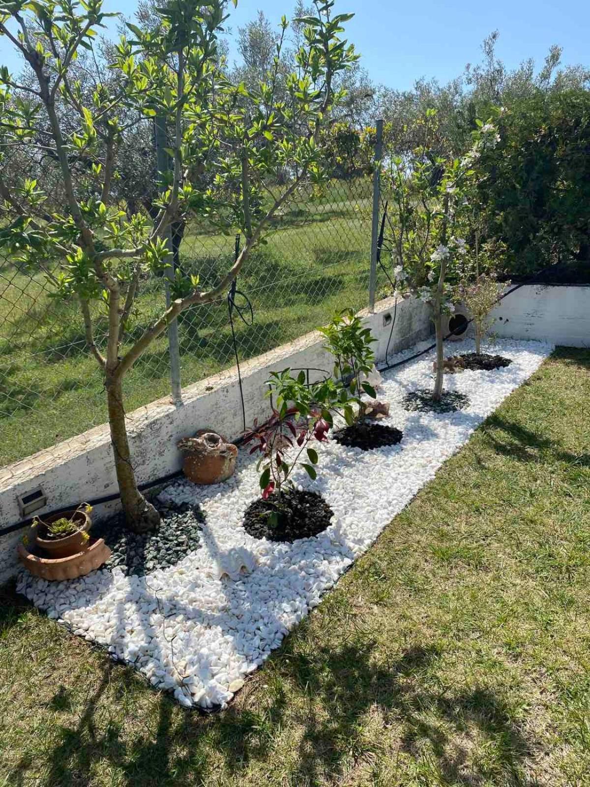 Ferienwohnung Golden House Alexandroupoli Exterior foto